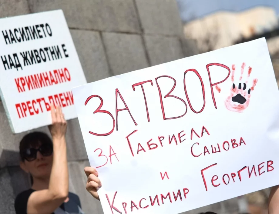 Помните ли серийните убийци на животни от Перник: Скоро ще има възмездие за тях