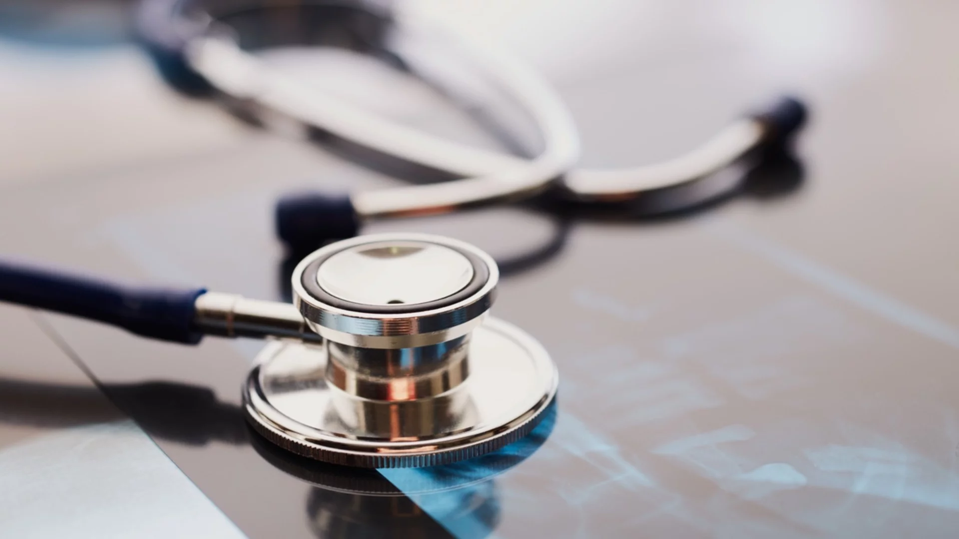 Да се спрат правата на прегазилия кучето Мая лекар: Искане до БЛС, Actualno.com е посочен сред гарантите за прозрачност