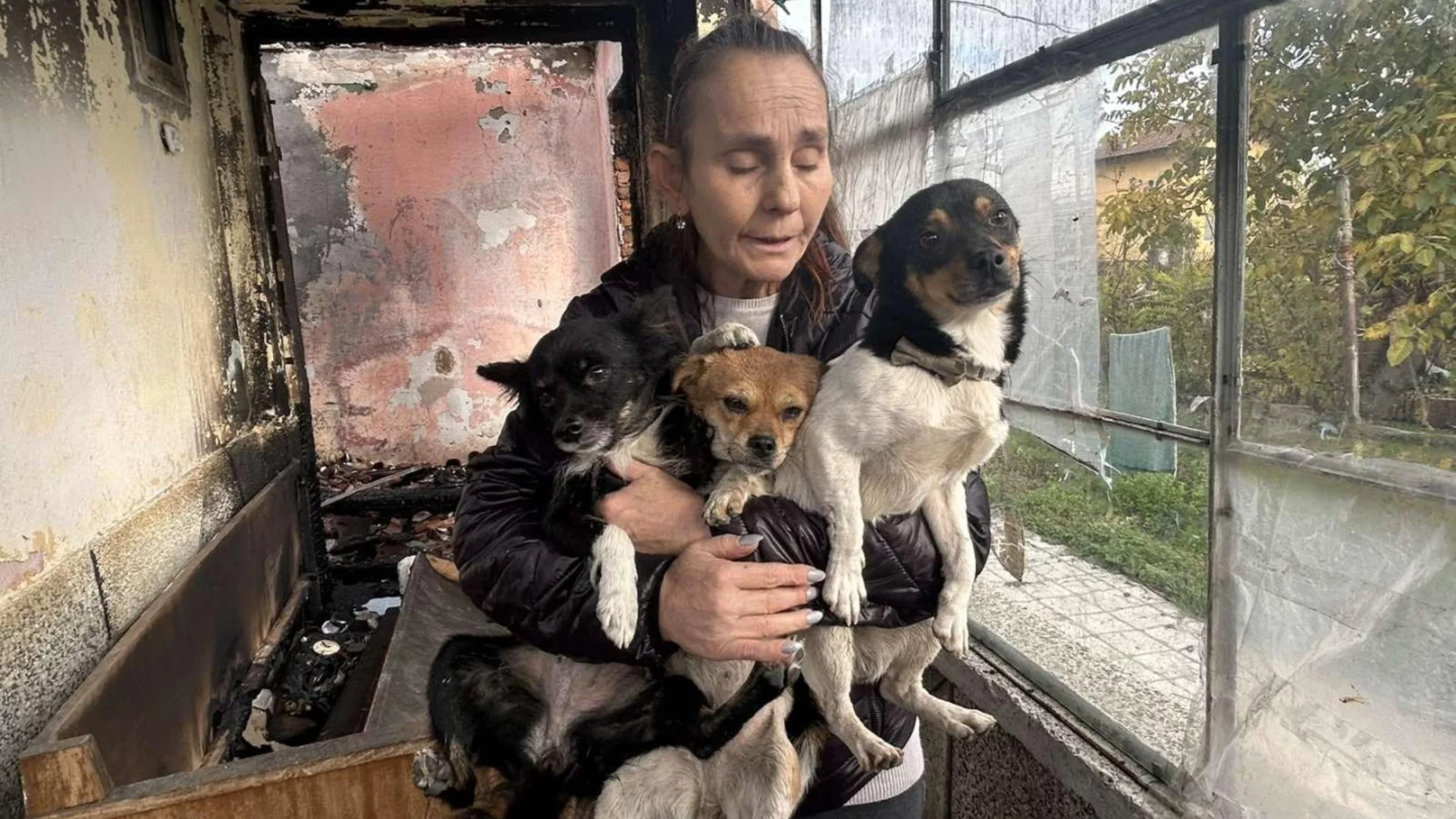 Без дом, но с три спасени кученца: Семейство остана на улицата след пожар