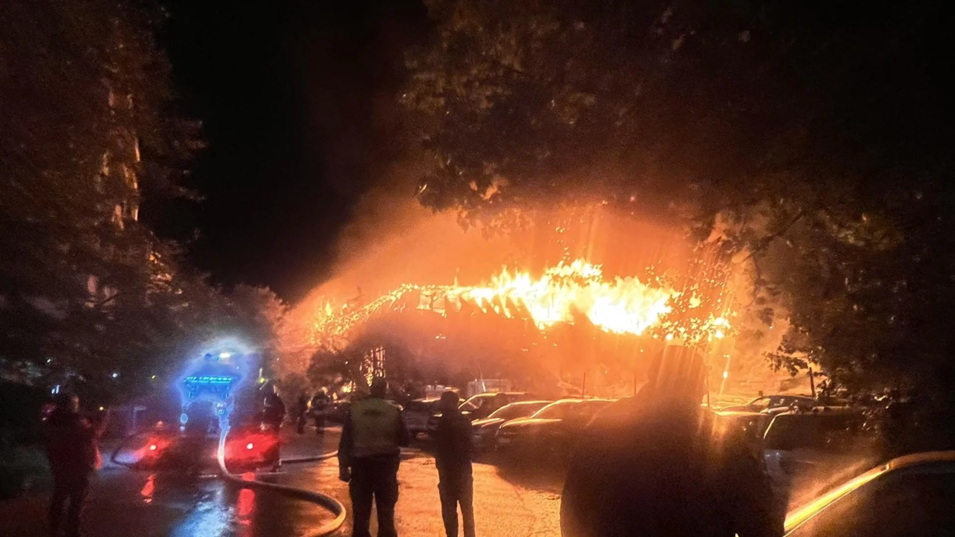 Без дом, но с три спасени кученца: Семейство остана на улицата след пожар