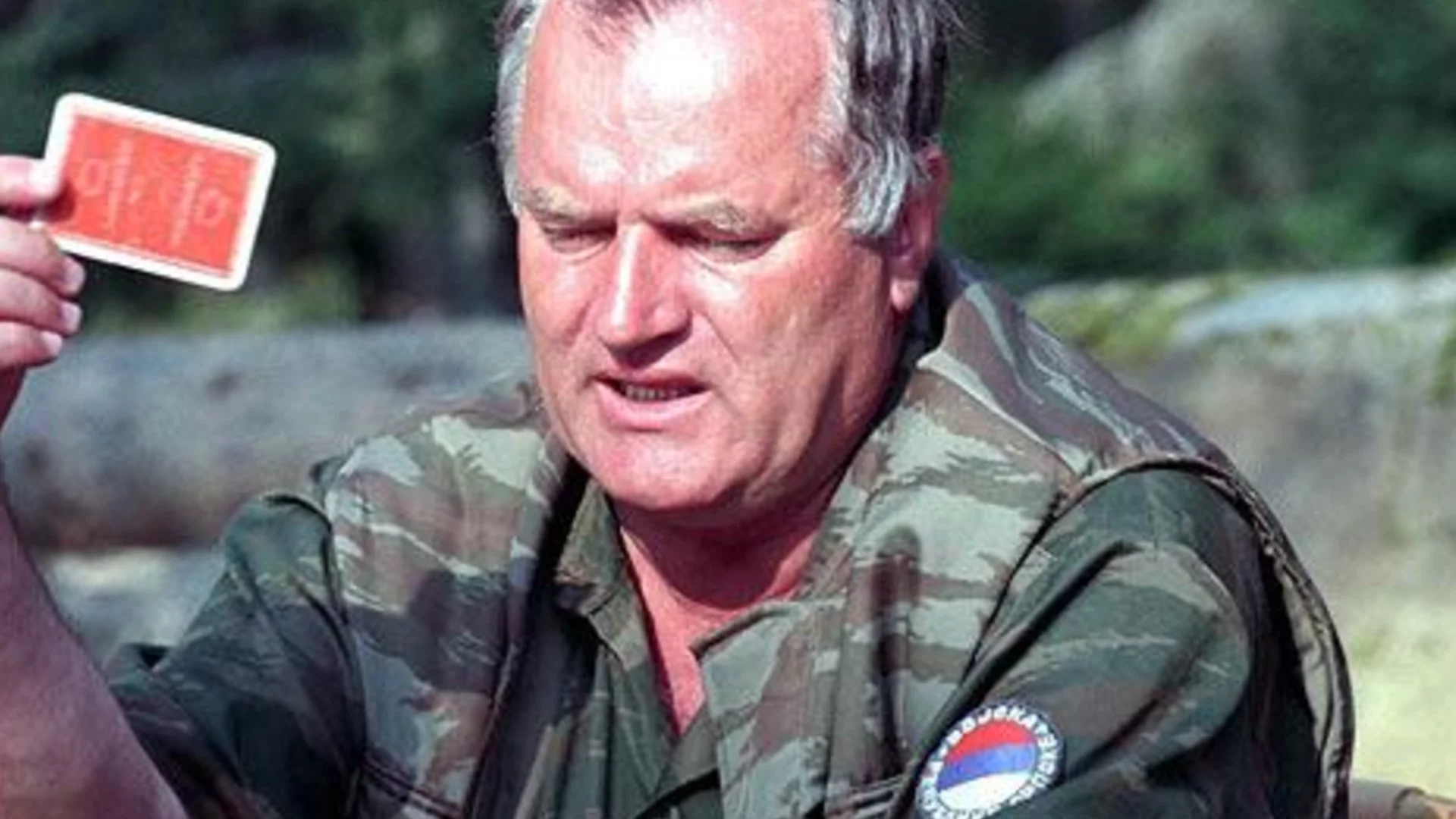 Водеща фигура от кланетата в Сребреница: Военнопрестъпник поиска отпуск от затвора