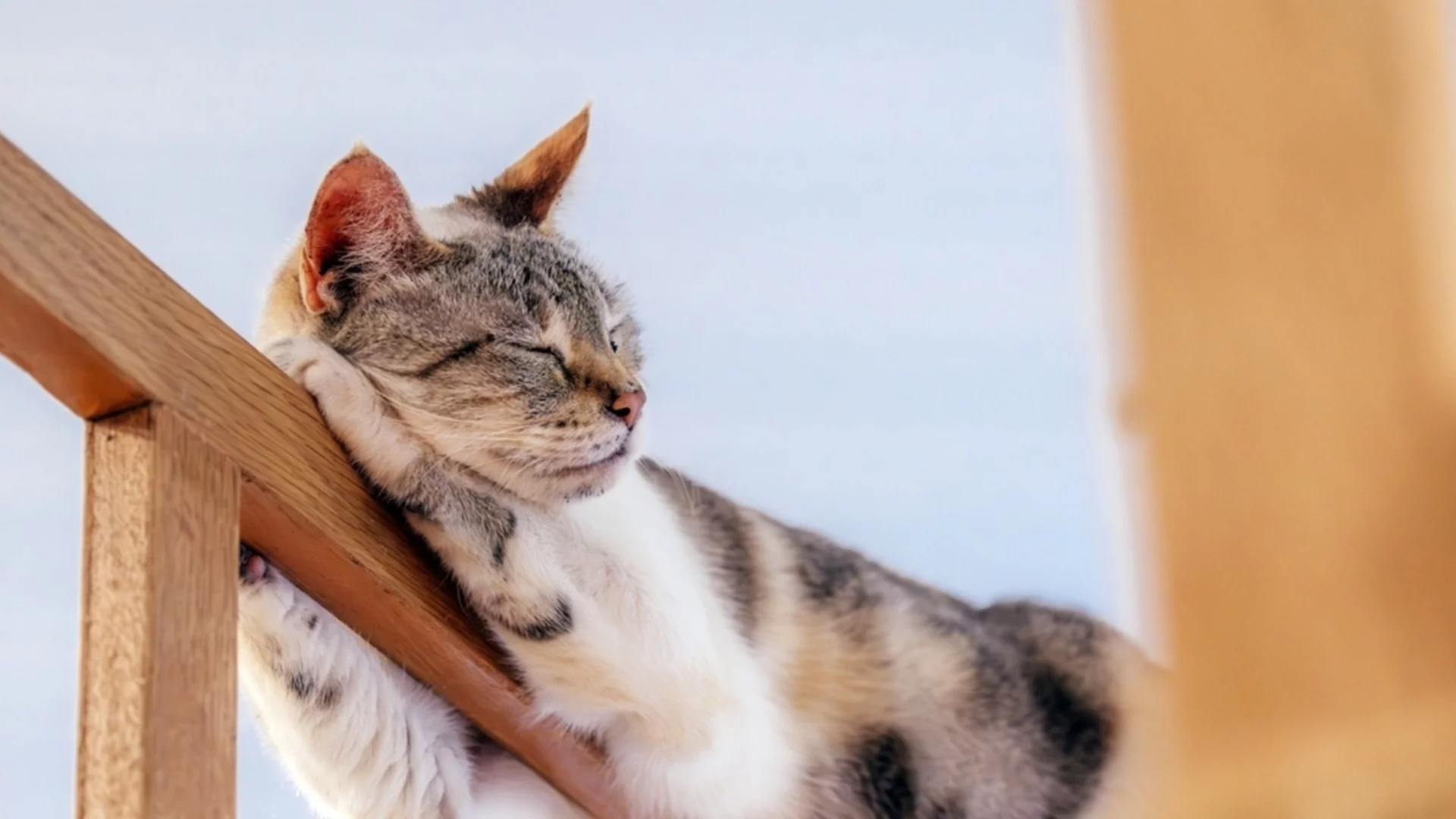 Слънчево, но ни дебне друга опасност. Времето утре - 13 ноември 2025 г. 