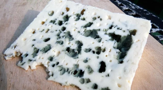 Как е открито първото мухлясало сирене