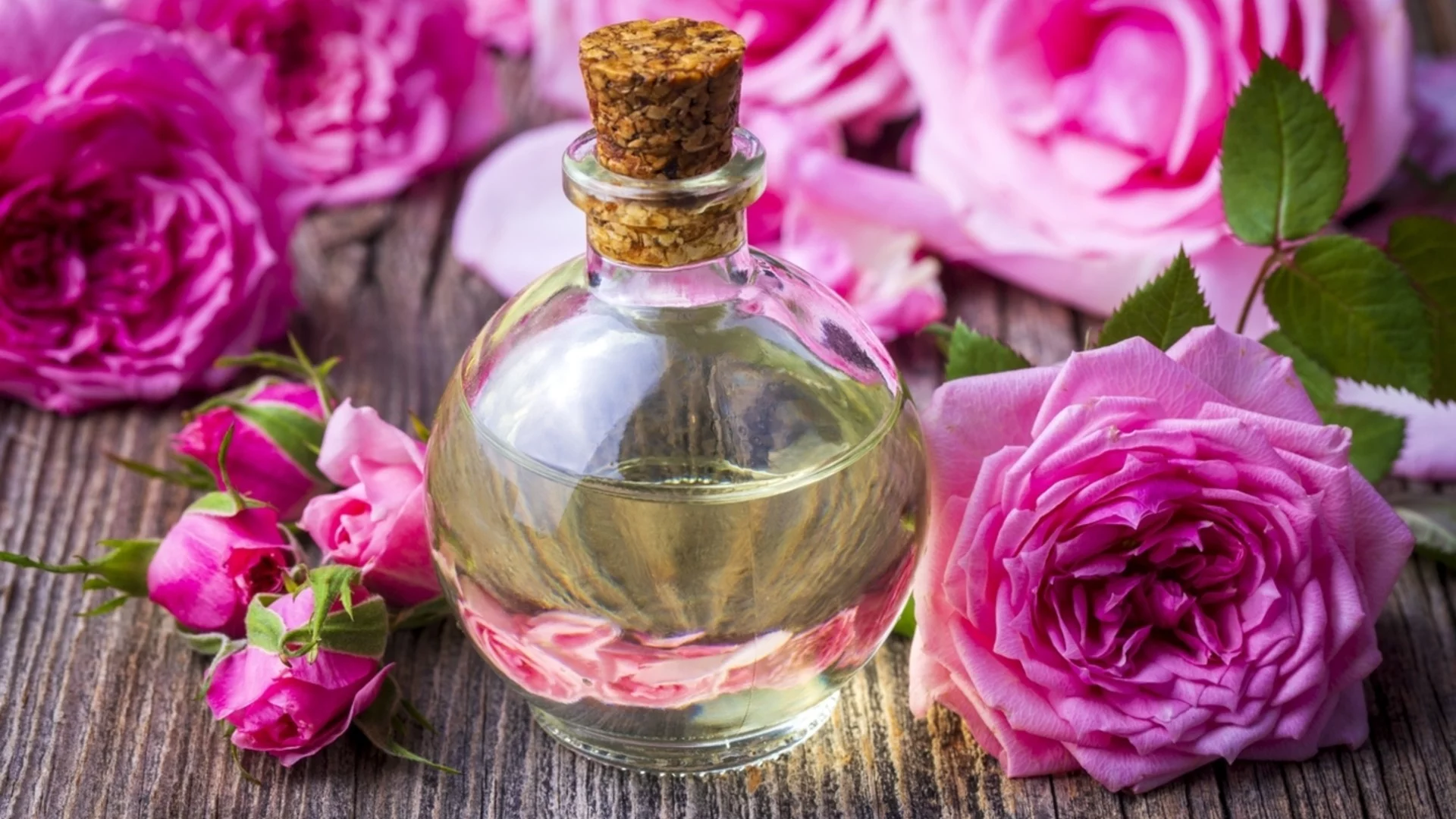 Първият музей на ароматите в Турция отваря врати в град, прочут с розите си