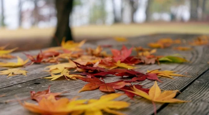 Прогноза за времето - 14 ноември 2025 г. (петък)