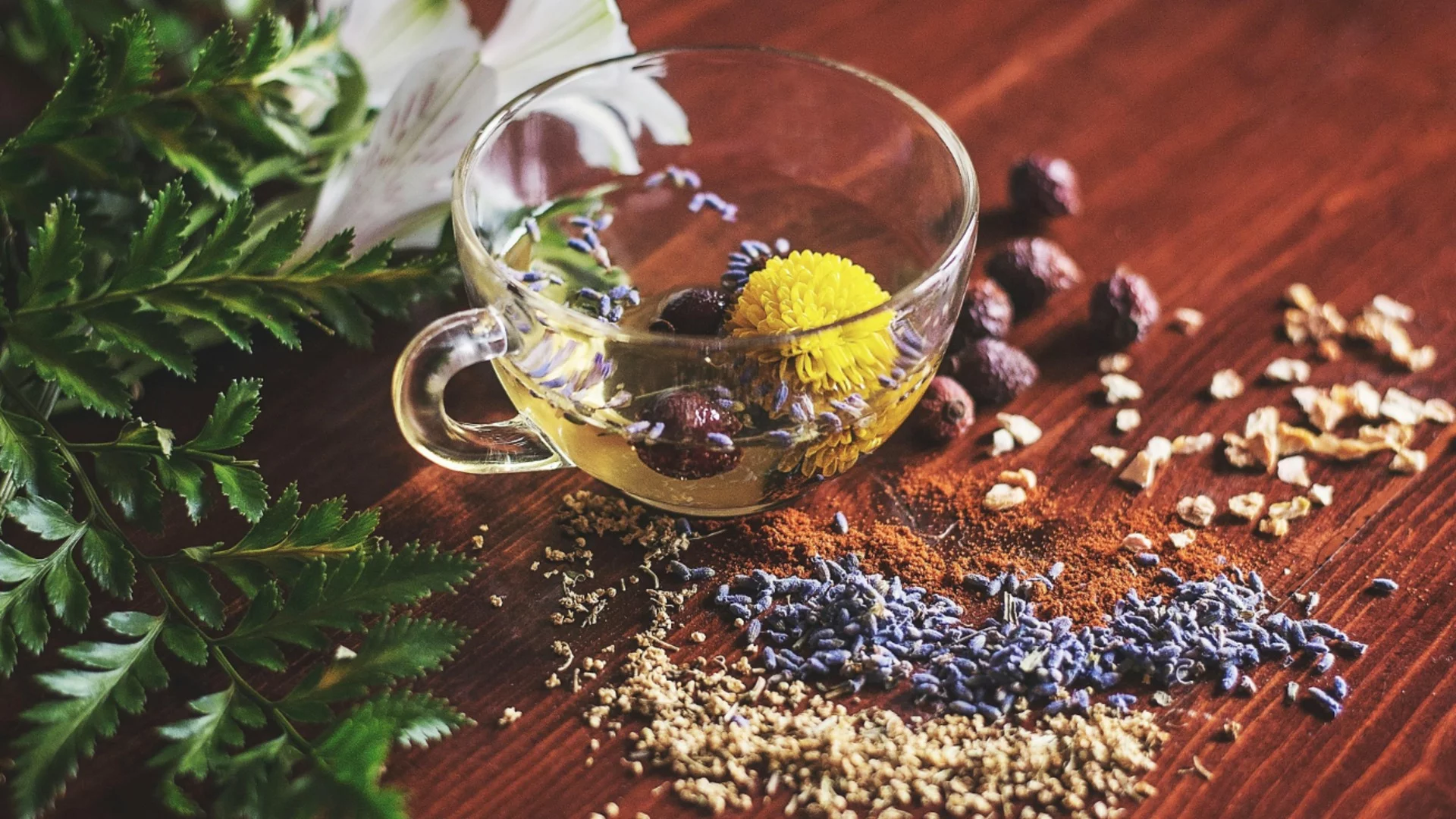 Семена, които можете да съберете през есента за безплатни растения през пролетта  