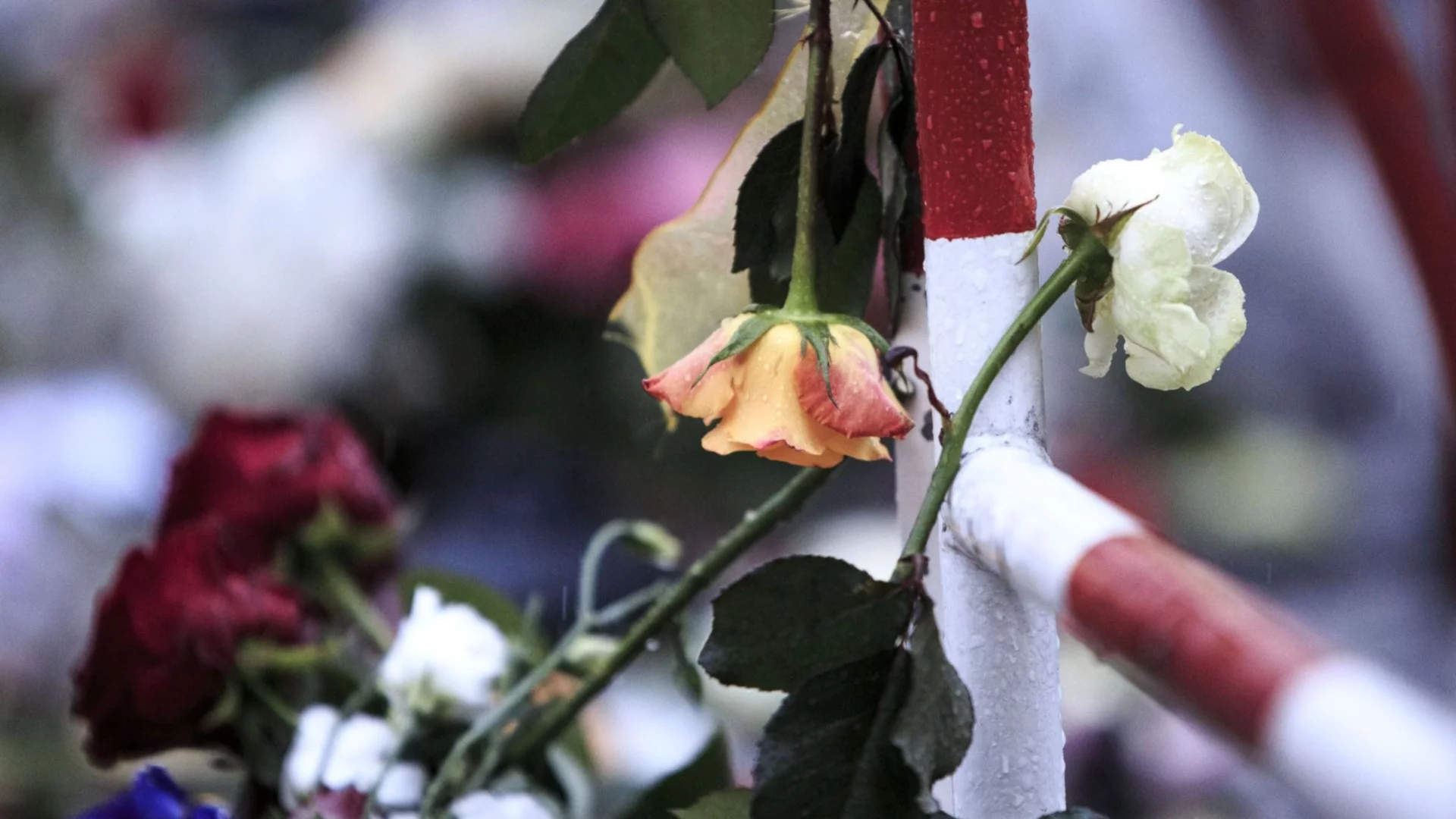 10 години след ужаса: Франция отдава почит на жертвите на терористичните нападения в Париж