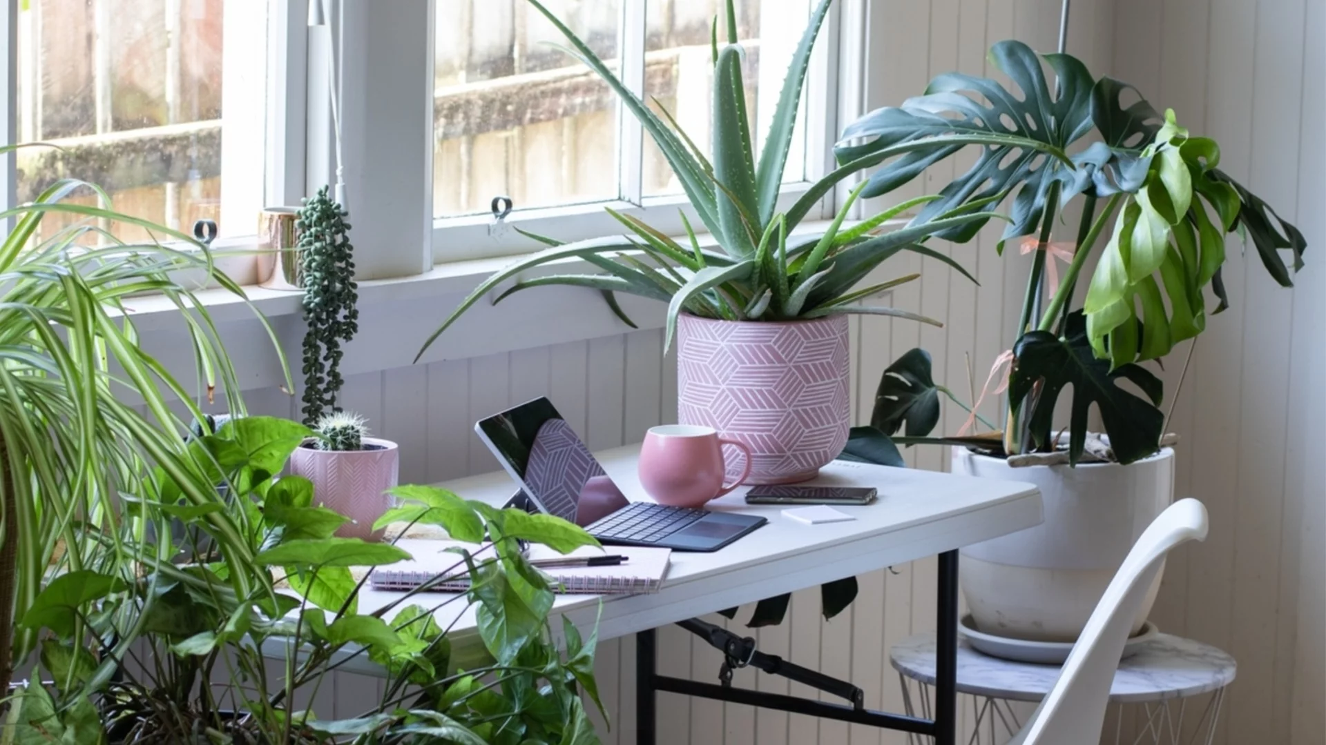 Без свещи и химикали: Стайни растения, които ухаят през есента