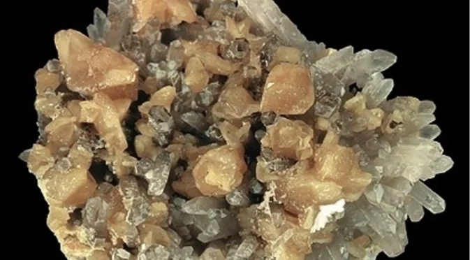 За първи път: Радиоактивен минерал е извлечен безопасно от растение