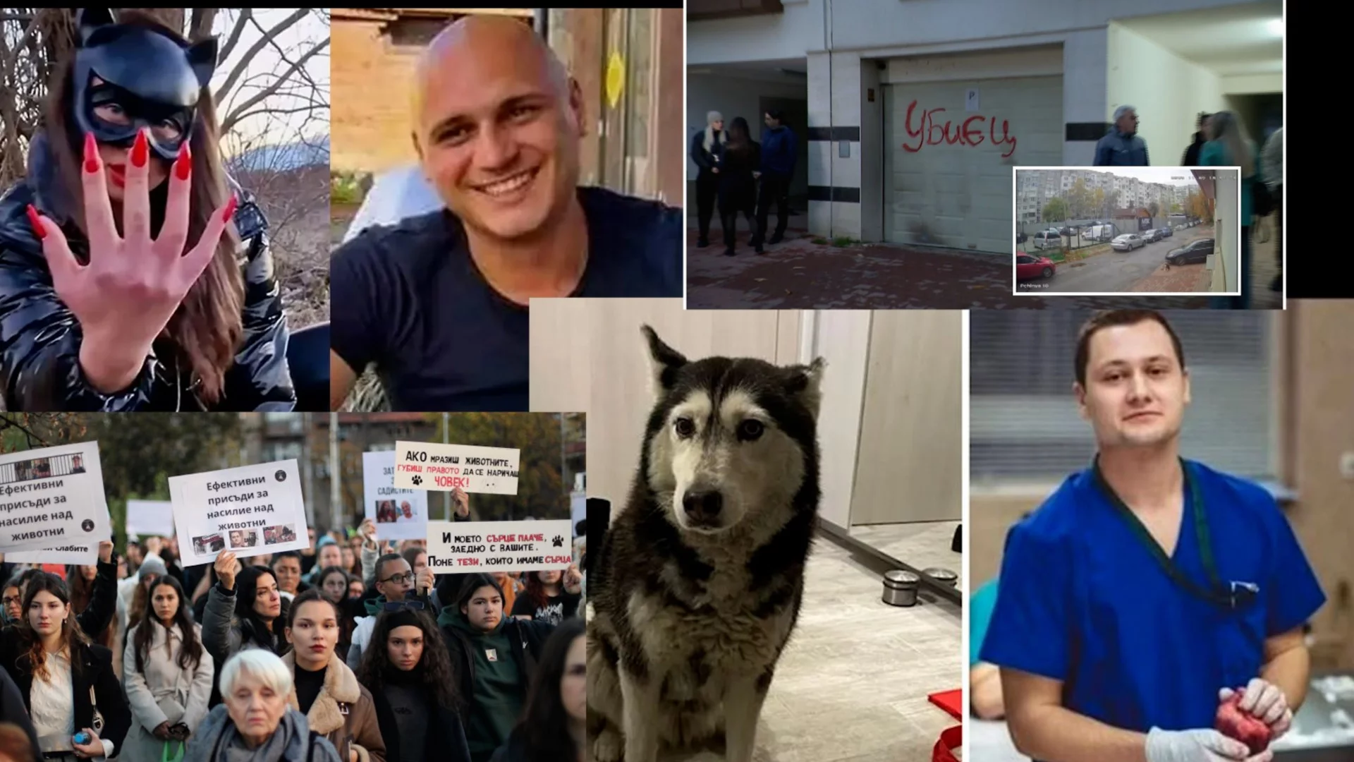 Анатомия на злото: От садизма в Перник до прегазената Мая