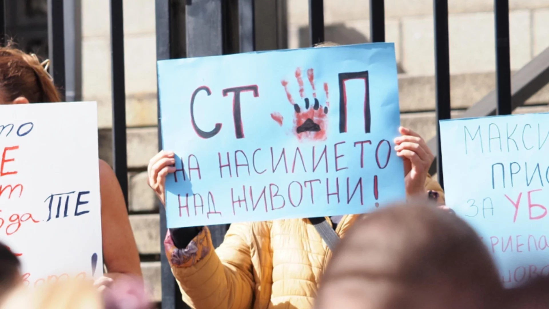 "Наистина ни боли": Протест в София и Варна след жестокостта към кучето Мая (ВИДЕО)