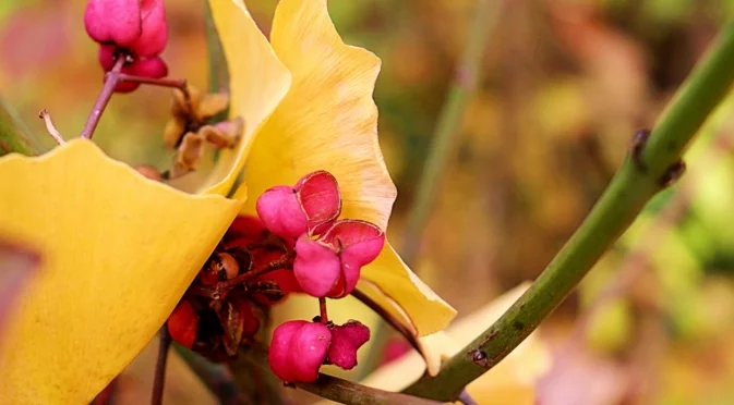 Прогноза за времето - 16 ноември 2025 г. (неделя)