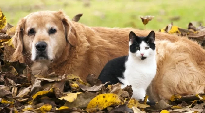  Сериозна промяна в температурите. Седмична прогноза за времето за 17-23 ноември 2025 г. 