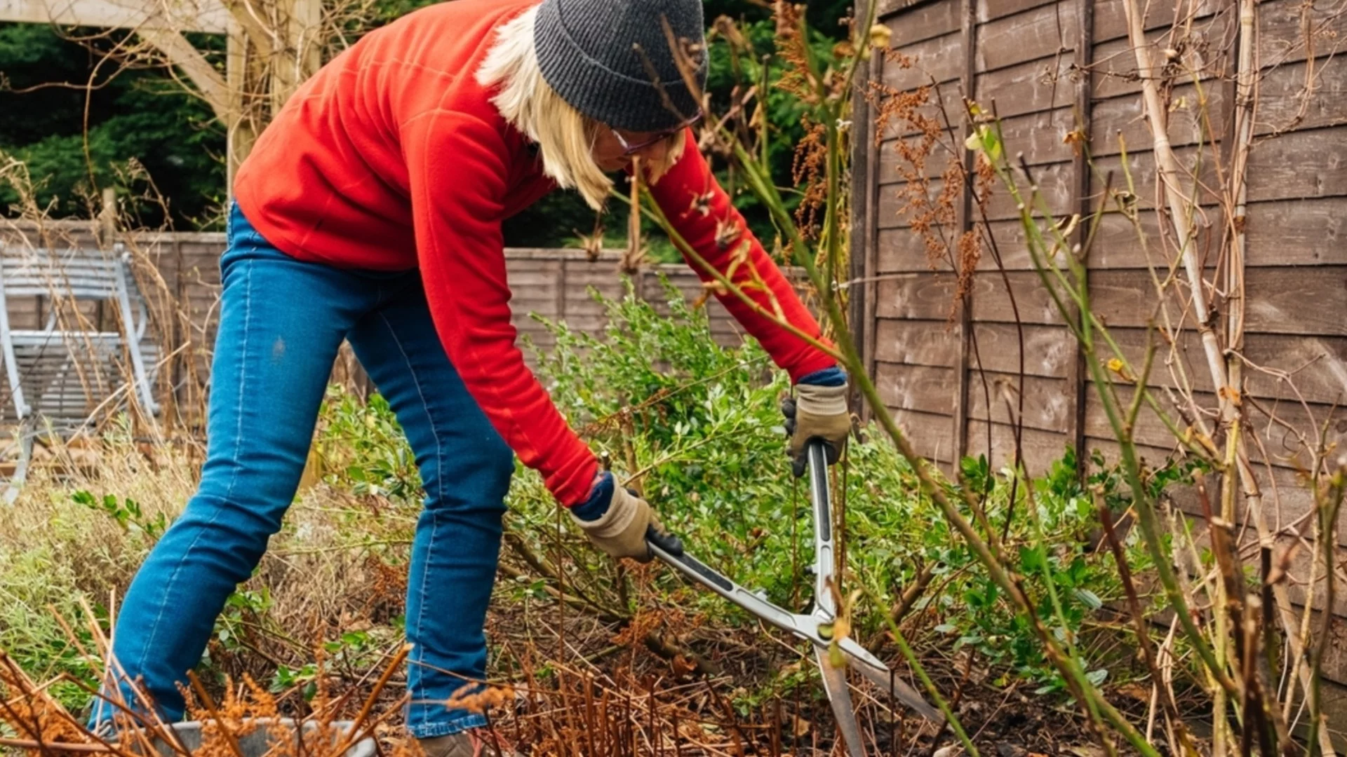 Какво НЕ трябва да правите в градината през ноември, за да не съсипете почвата и реколтата