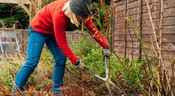 Какво НЕ трябва да правите в градината през ноември, за да не съсипете почвата и реколтата
