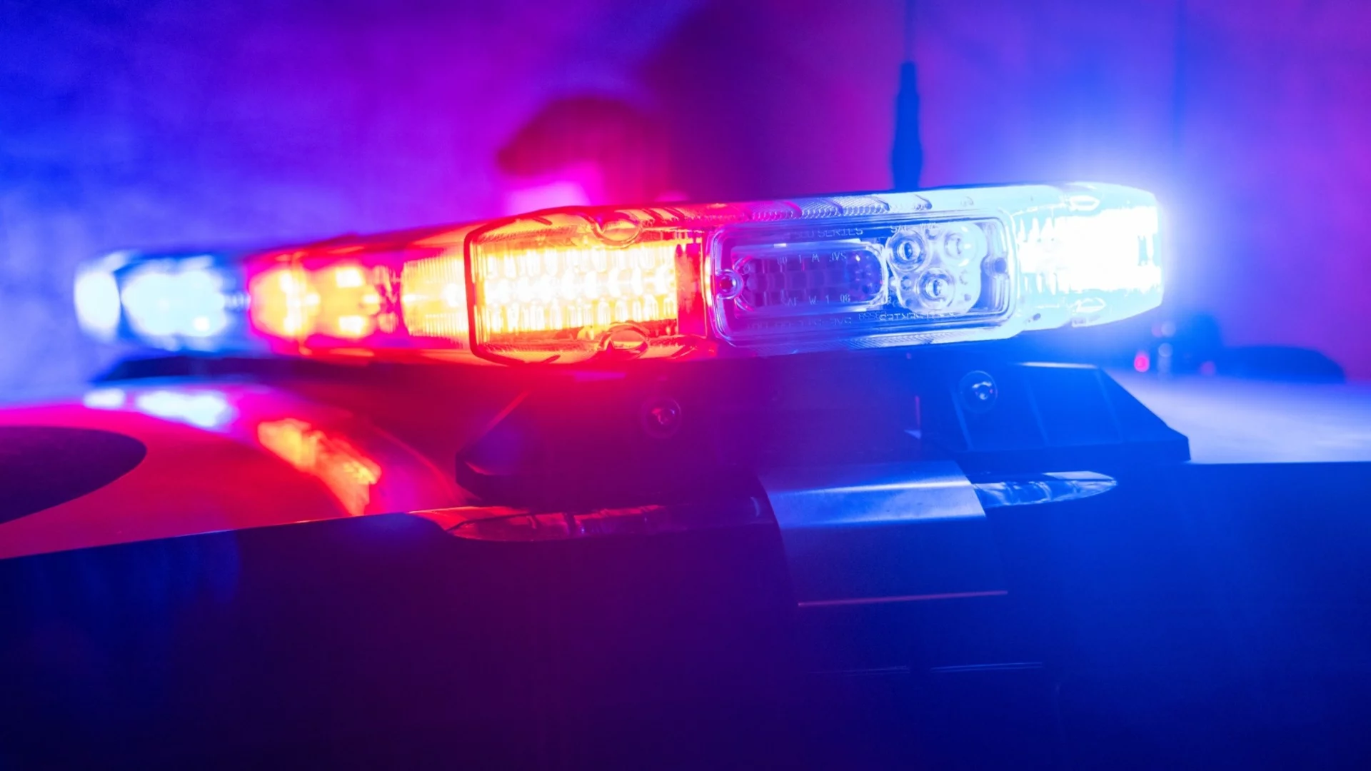 След опасно селфи: Родителите на екстремните тийнейджъри няма да бъдат глобени