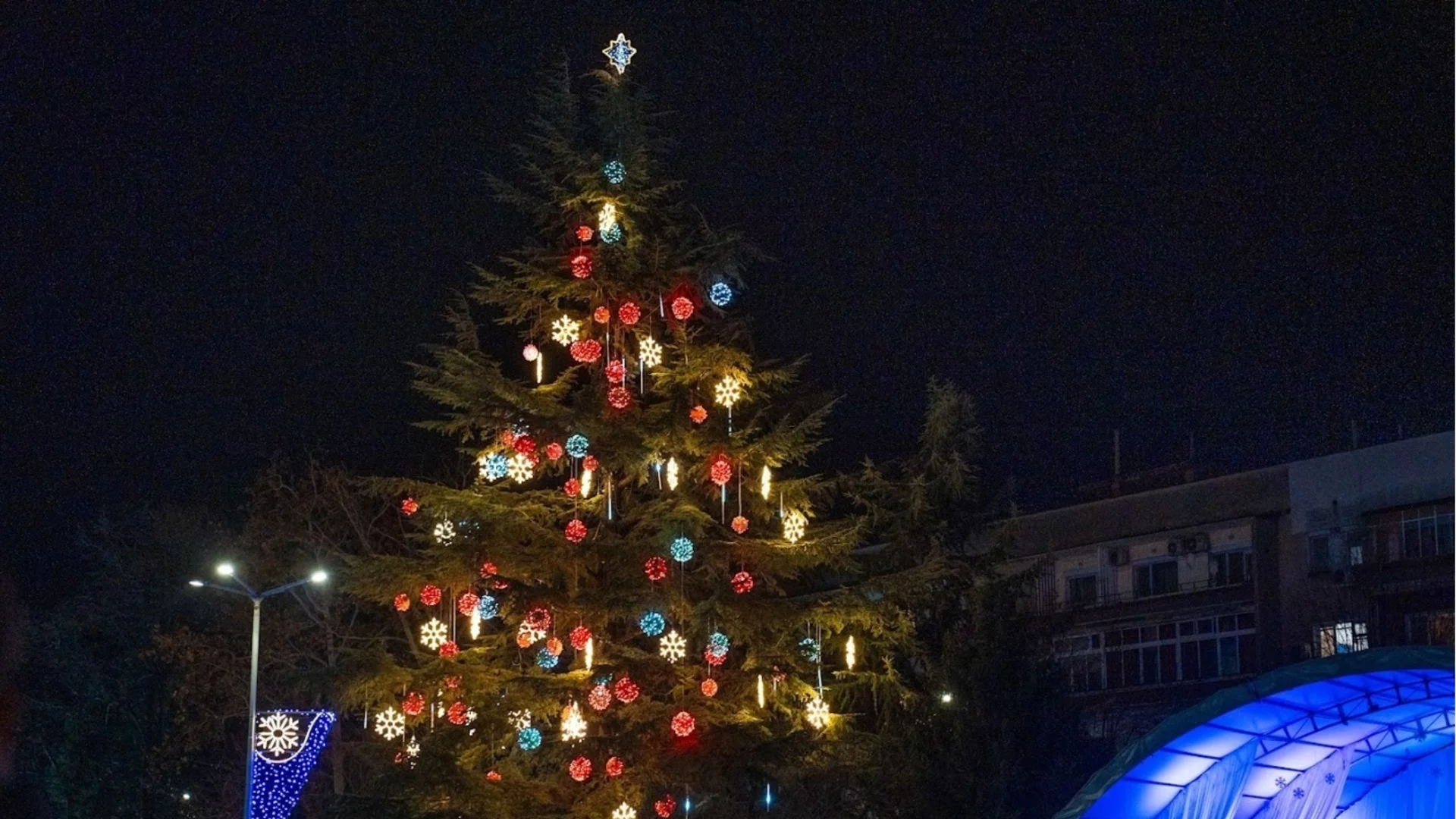 Ето кога Дядо Коледа ще запали светлините на най-голямото живо Коледно дърво в Димитровград и в Европа