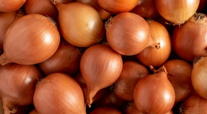 Кога е най-доброто време за засаждане на зимен лук