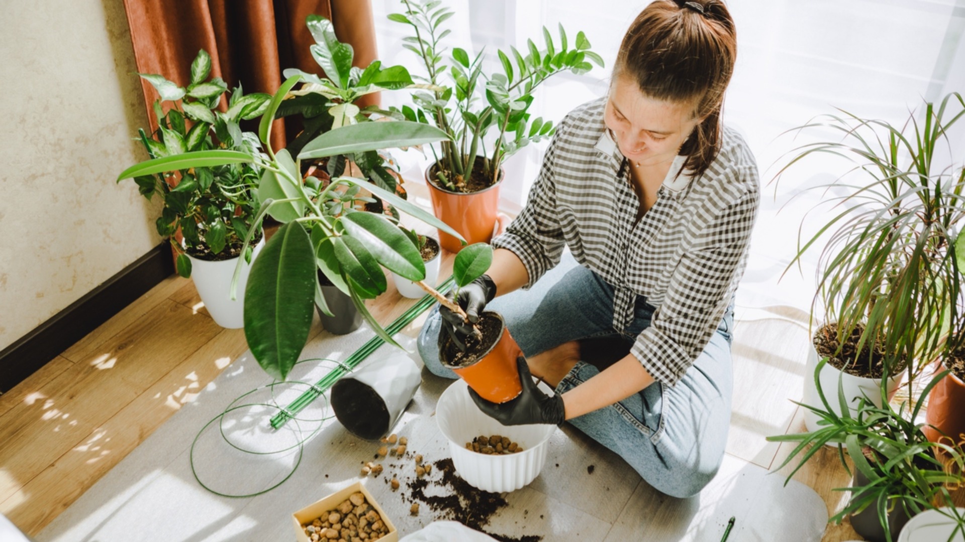 Как да превърнете старата почва за саксии в истинско злато за пролетното засаждане