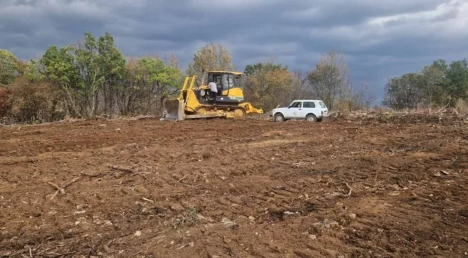 Засаждат нови 13 000 фиданки в Стара Загора