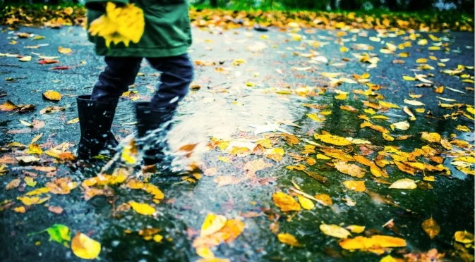 Жълт код за силен вятър и валежи