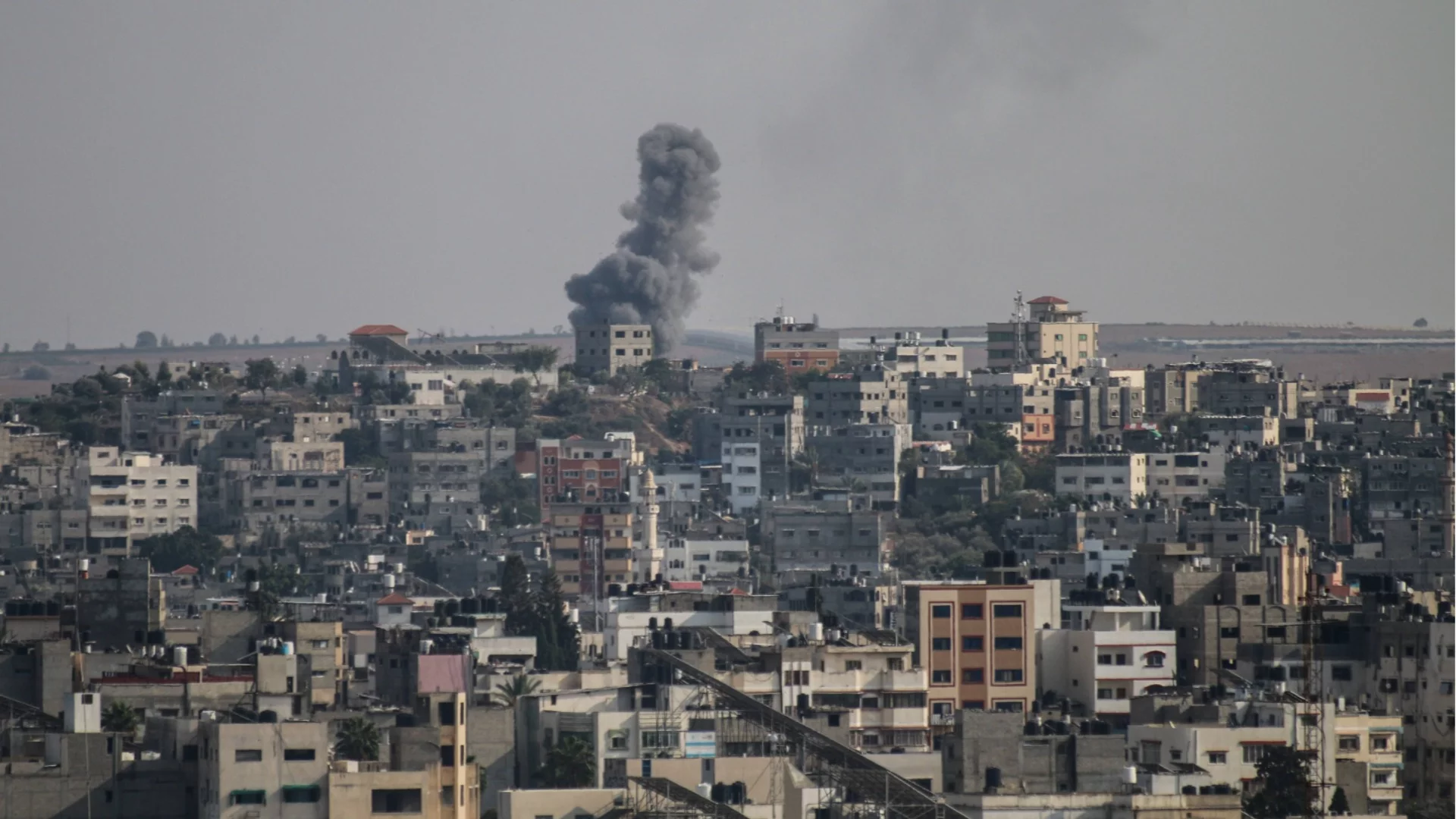 "Ще донесе мир по света": Тръмп доволен, че подкрепиха плана му за Газа