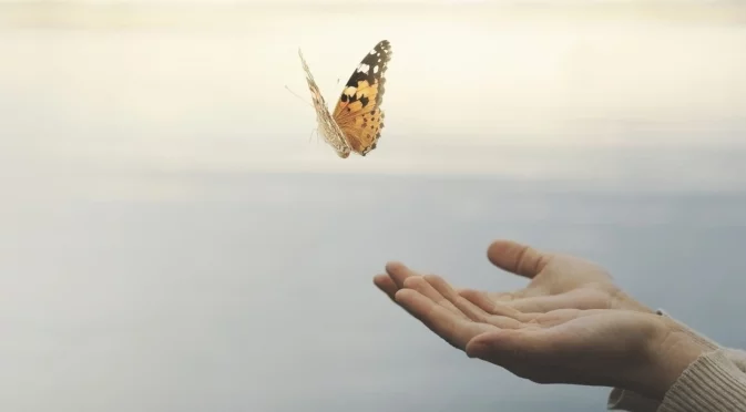 Хороскоп за днес, 20 ноември: Четвъртък подава ръка на Стрелците, но подлага крак на Овните