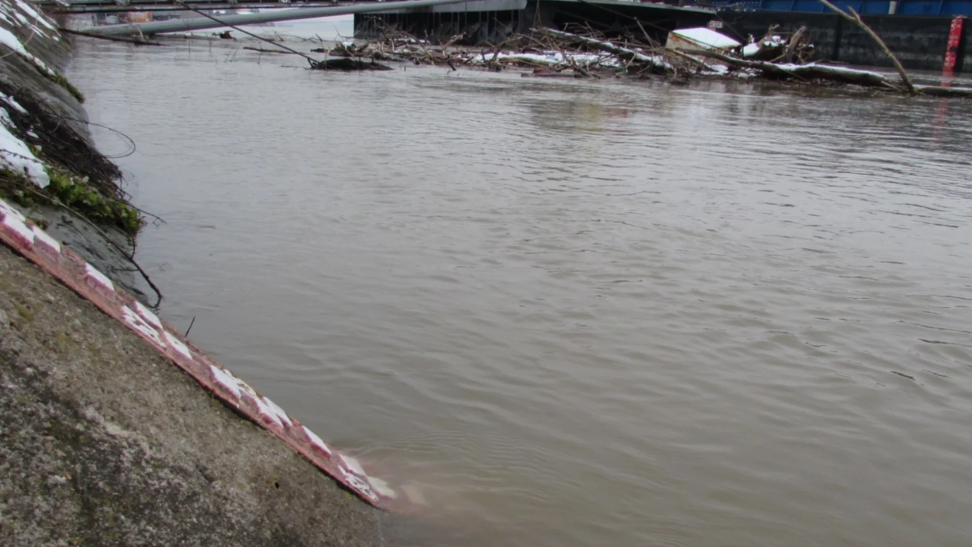 Премина опасността на румънския бряг на река Дунав (ВИДЕО)