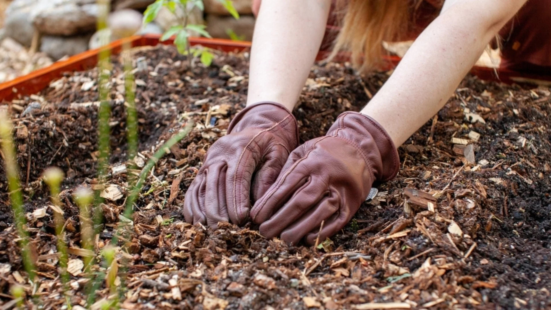 Как правилно да поставите мулч в градината, за да запазите растенията през зимата