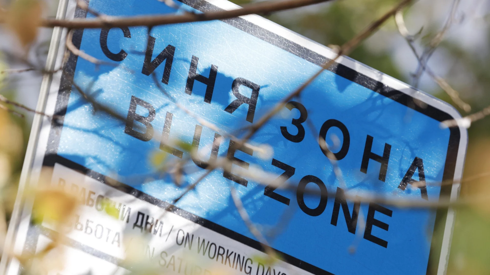 Ето това е казус - салата или синя зона