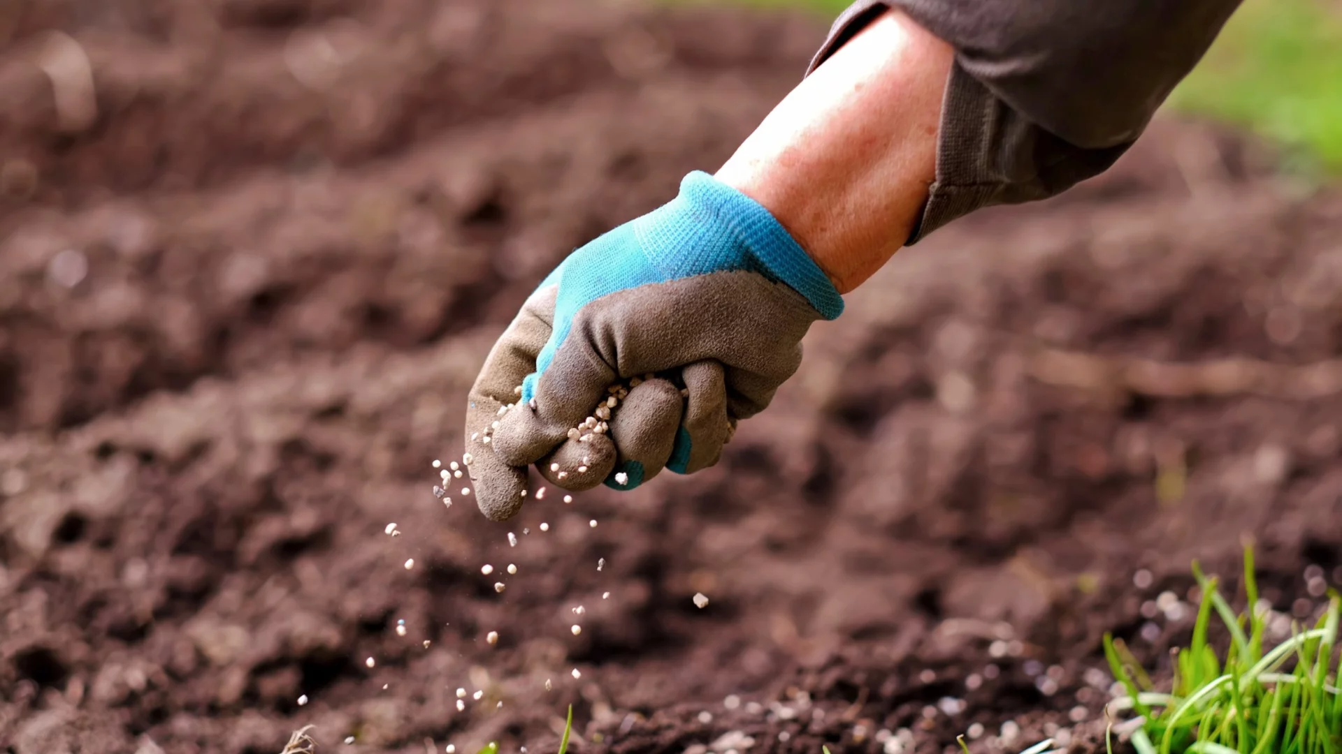 Как да направим естествен тор от кухненски отпадъци за градината