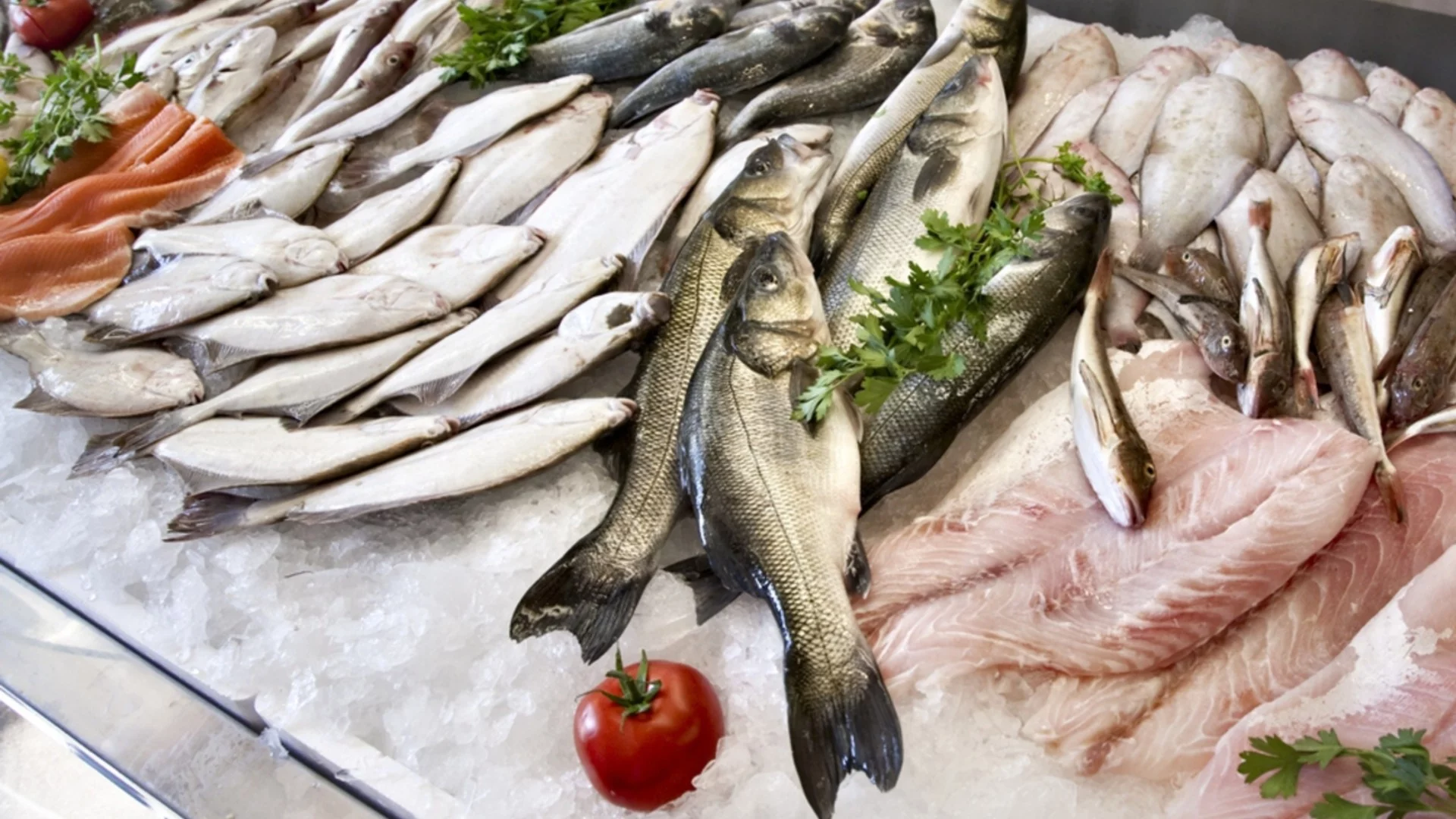 Диетолозите предупреждават: Тези 7 вида риба са най-полезните и най-чистите