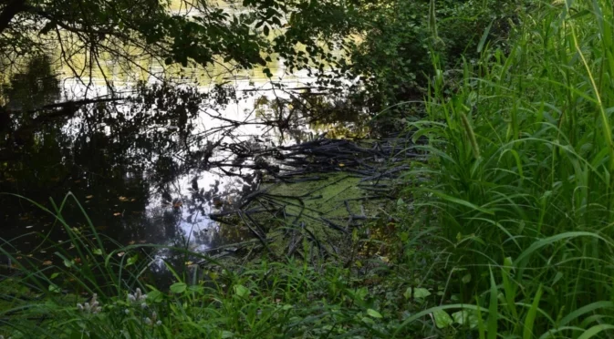 България продаде услуга на Гърция: Обяснение на екоминистъра за водата от Арда