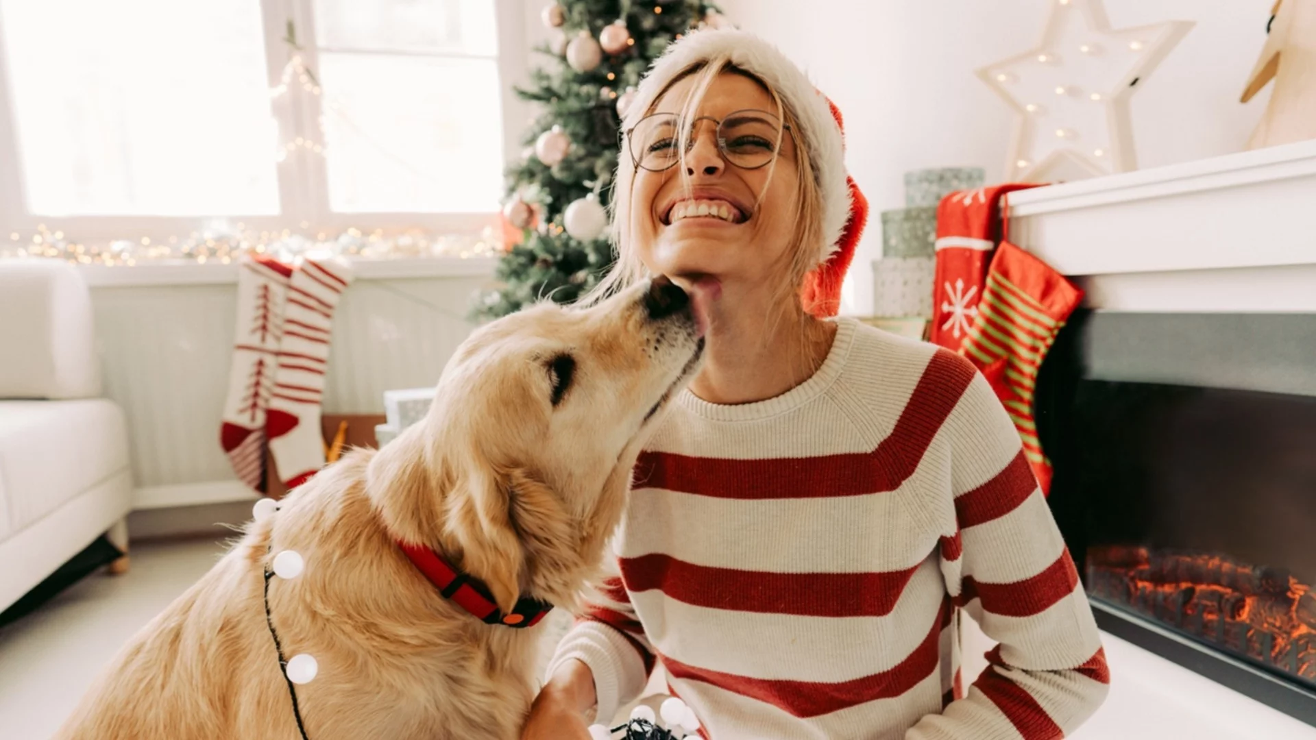 Хороскоп за утре, 24 ноември: Телците ще са на седмото небе от щастие, но тежки думи ще чуят Стрелците