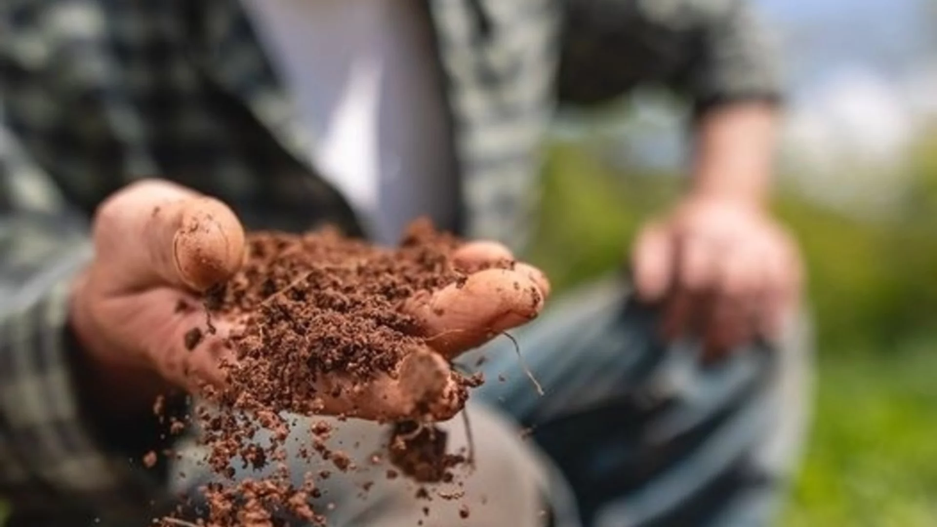 „Агрион" призовава собствениците да не изпускат крайния срок за продажба на земя