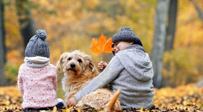 В кой ден идва застудяването. Времето през уикенда 22-23 ноември 2025 г. 