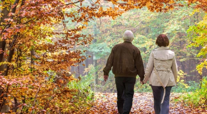 Стана ясно колко е средната пенсия в България