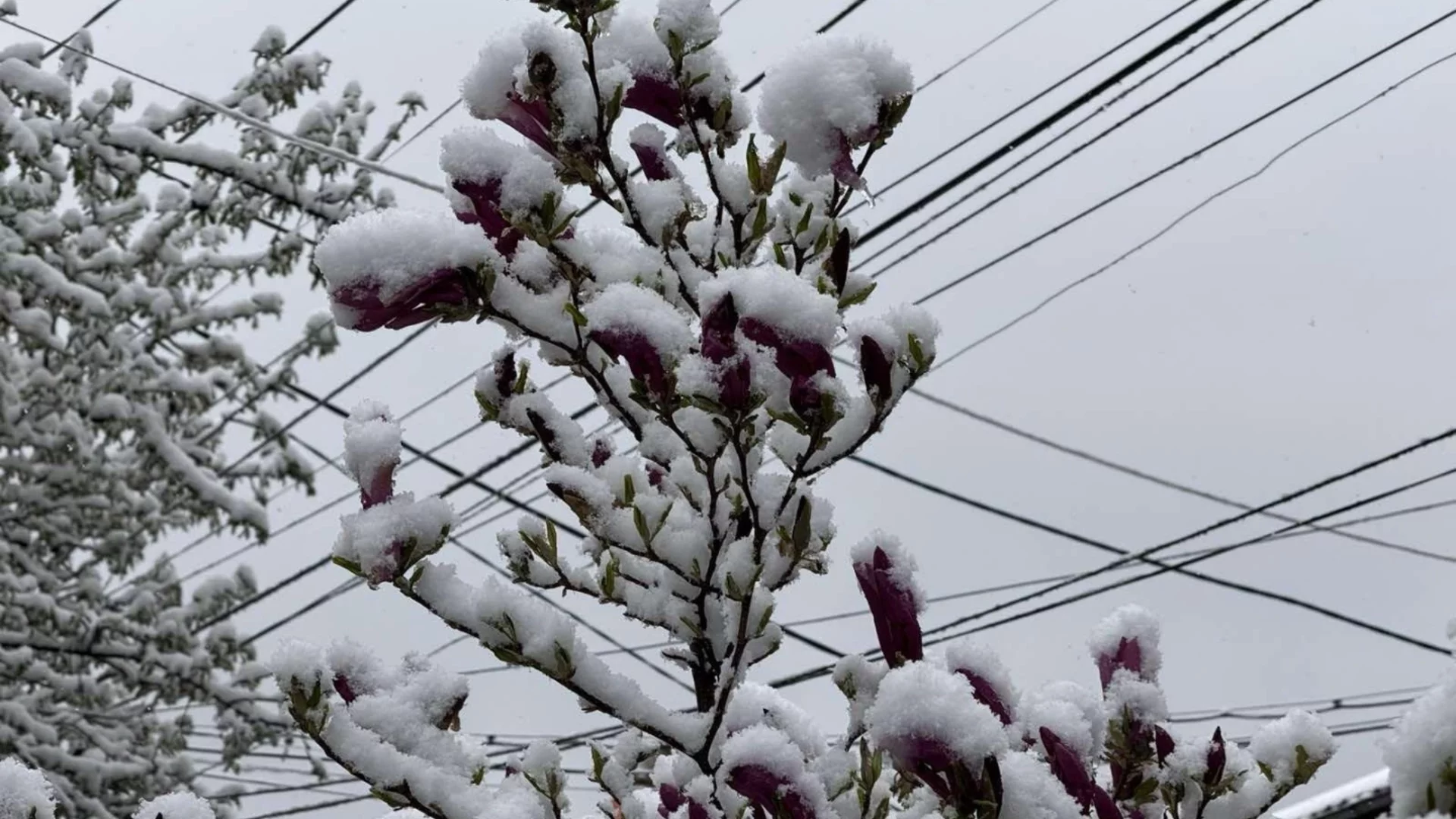 Снегът дойде в Италия (ВИДЕО)