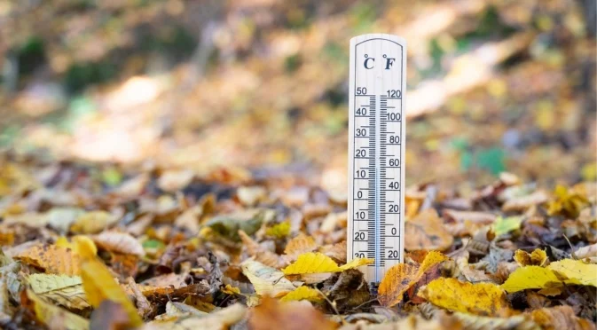 Задава ли се зима на хоризонта? Проф. Рачев охлади "страшните" заглавия