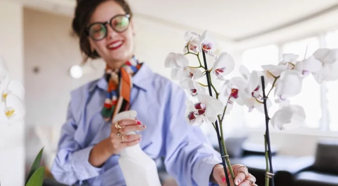 През зимата: Ето как да поливаме орхидея без риск от загниване на корените