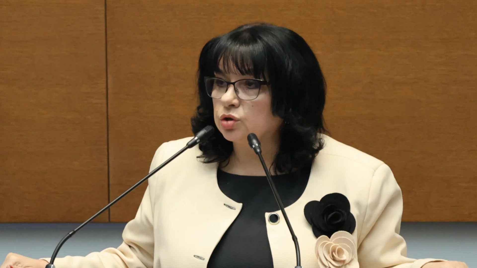 "Устойчивост на публичните финанси": Теменужка Петкова защити първия бюджет в евро