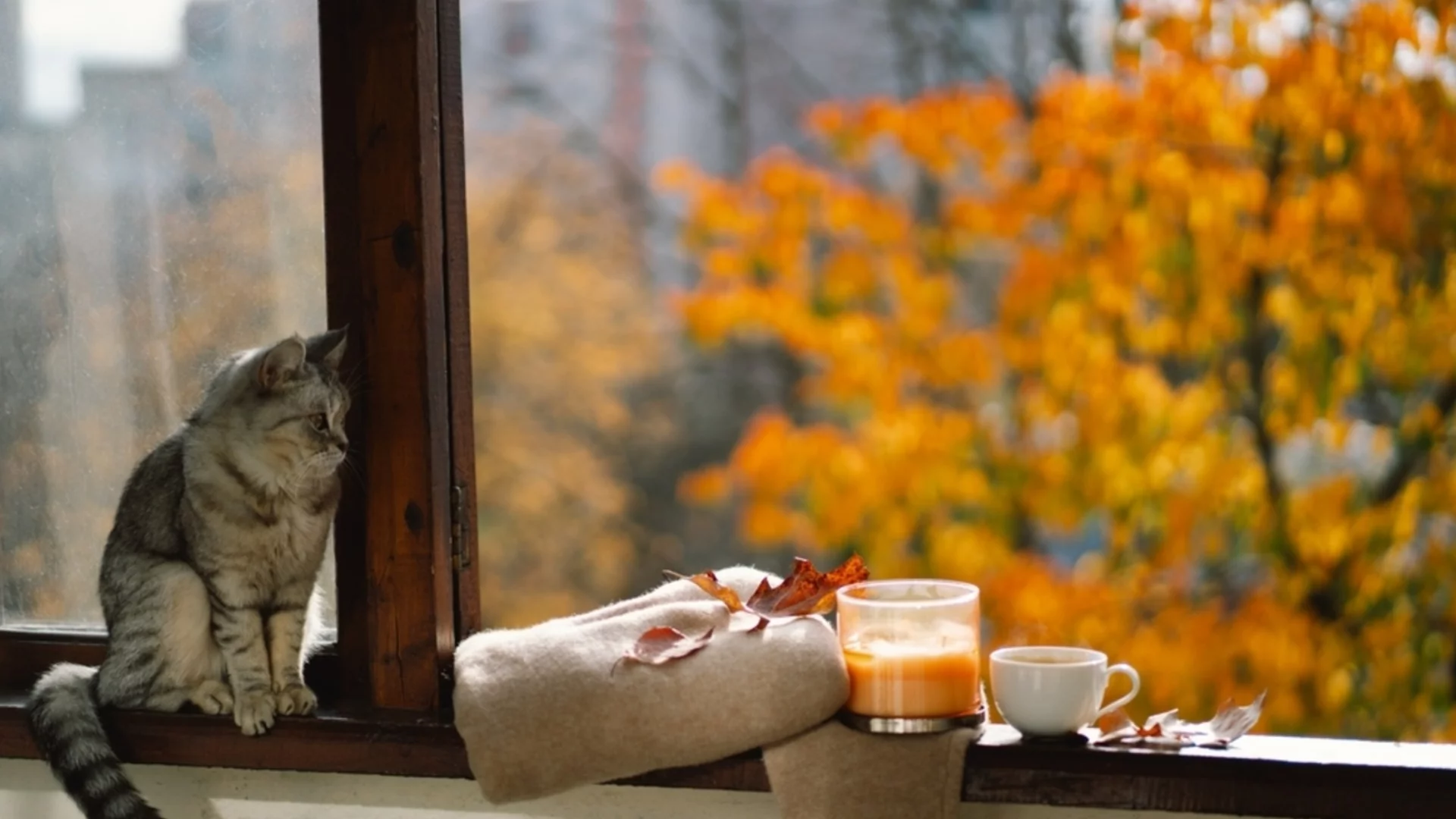 Прогноза за времето - 23 ноември 2025 г. (неделя)