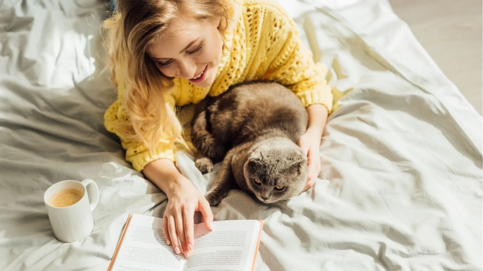 Прогноза за времето - 22 ноември 2025 г. (събота)