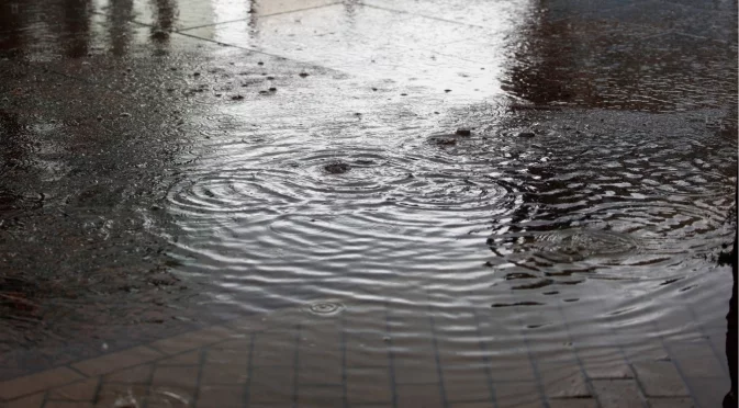 След проливни дъждове: Наводнени улици в Петрич, река излезе от коритото си в Разлог (ВИДЕО)