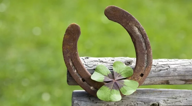 4-те зодии, които ще имат много късмет през седмицата, 24 - 30 ноември 2025