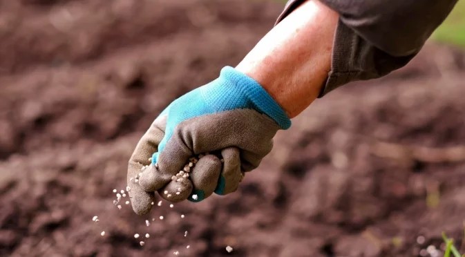 Най-добрата богата на магнезий тор за градината ви