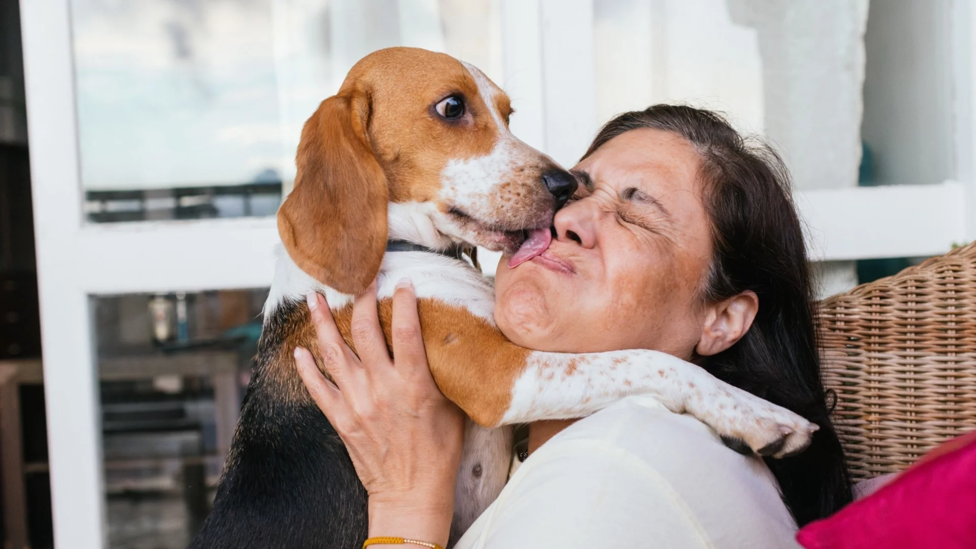 Как да поддържате дома си чист, ако имате домашни любимци