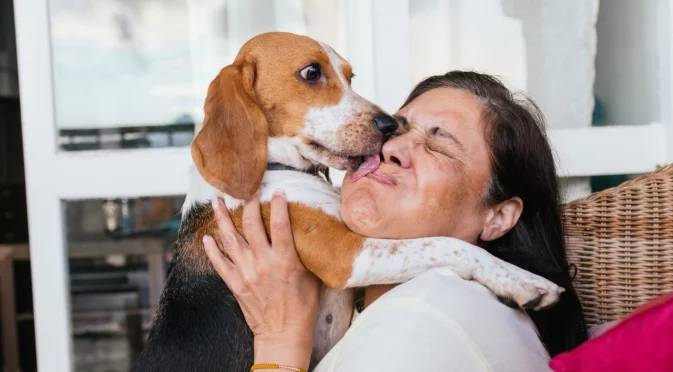 Как да поддържате дома си чист, ако имате домашни любимци