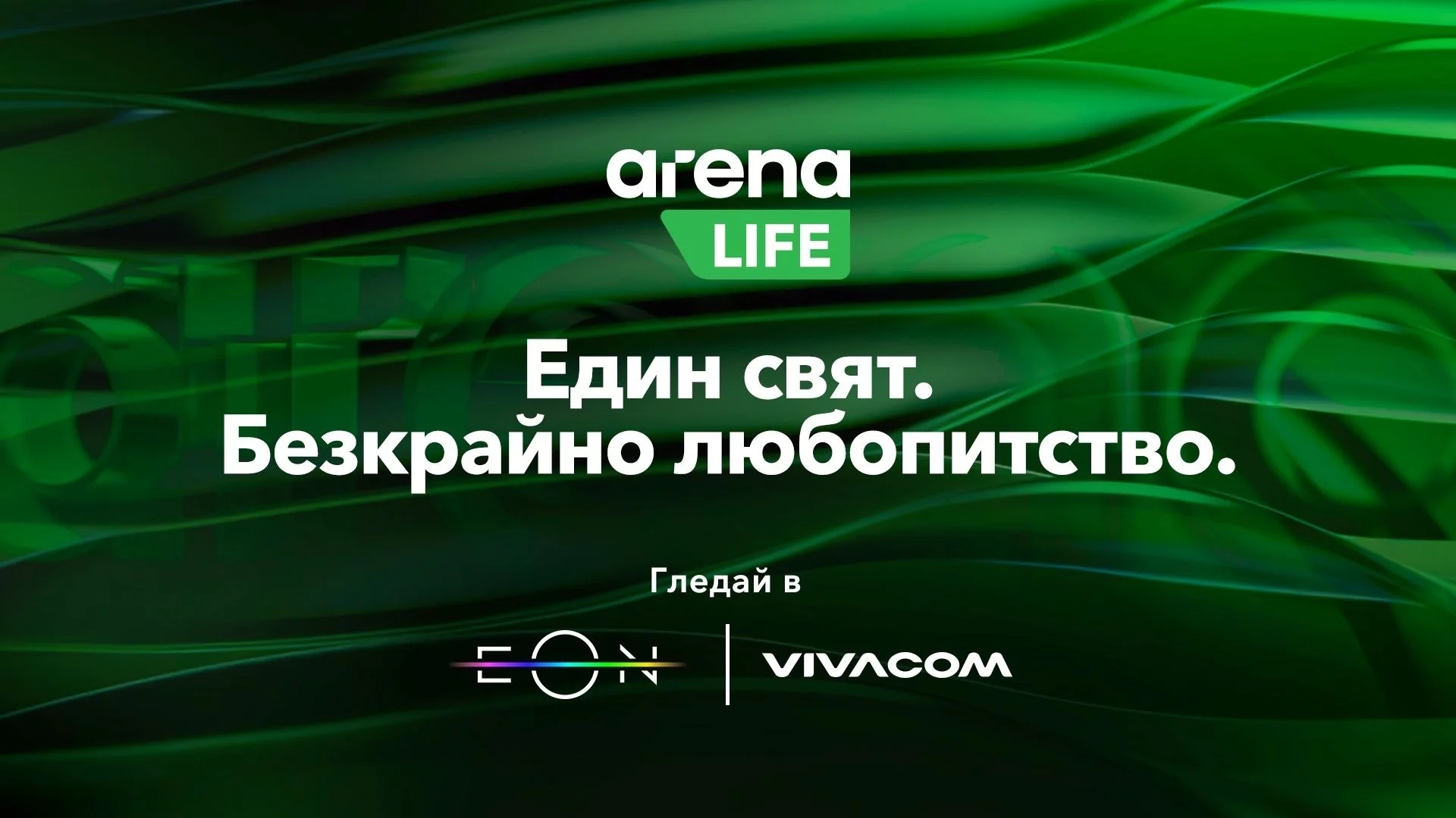 Какво да гледаме по Arena Life през ноември