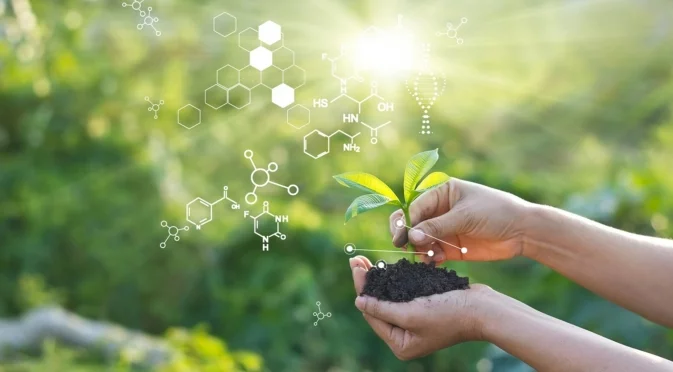 Китайски учени заподозрени, че са внесли в САЩ гъбички като оръжие за агротероризъм